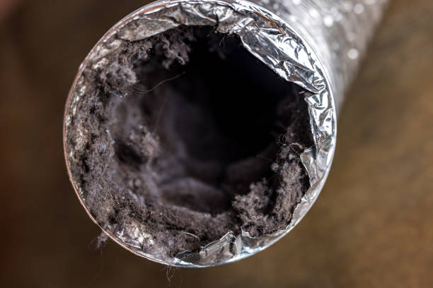 Best Professional Duct Cleaning Services  in Marion, WI
